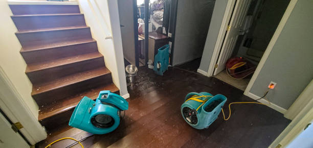 Best Water damage cleanup near me  in Espaola, NM