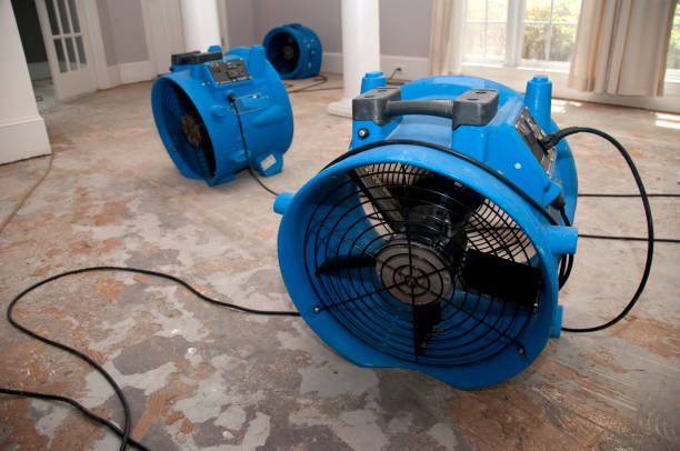 Carpet water damage restoration in NM