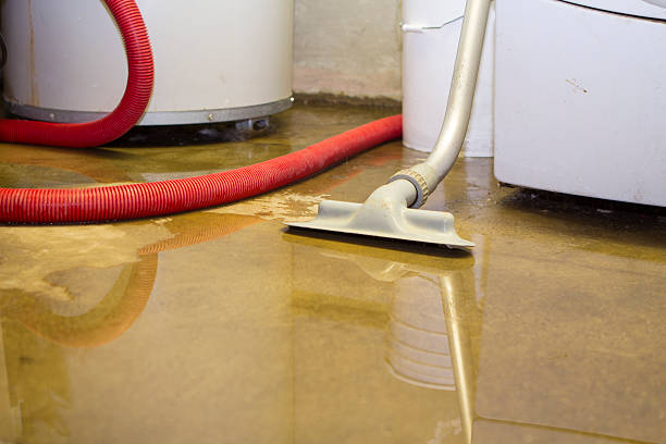Best Water damage cleanup near me  in Espaola, NM