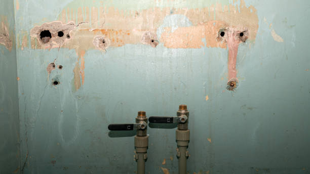 Best 24/7 water damage repair  in Espaola, NM