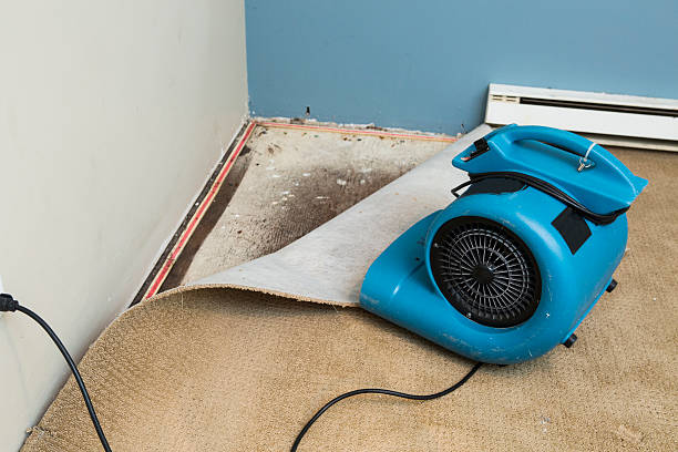 Best Flood damage cleanup  in Espaola, NM
